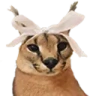 FloppaGirl emote