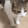 OHNYO emote