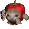 Applecatgun emote