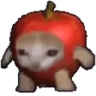 Applecatspin emote