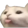 bobo emote