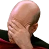 FacePalm emote