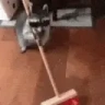 MODS emote