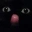 Emote