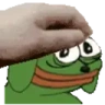 PETTHEDOGEGE emote