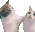 CatAHomie