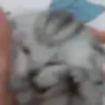 GetOutOfMyHead emote