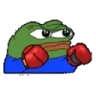 peepoBox emote