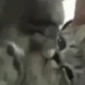 YouAreMyLittlePogChamp emote