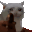 CatGun