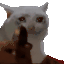 CatGun