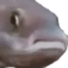 PauseFish emote