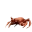Emote