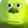 PogO emote