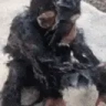 KeshaShower emote