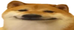 WideDoge emote