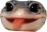SillyChamp