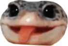 SillyChamp emote