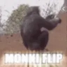 MONKIFLIP emote