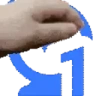 PETTHEBELIEVERS emote