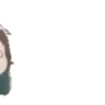 PANIC emote