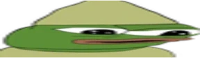 WideDanko emote