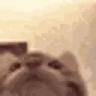 Tasty emote