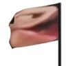 PagFlag emote