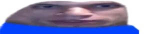 widepeepoSquad emote