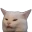 confusedCat