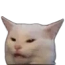 confusedCat emote