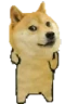 DogePls emote