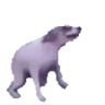 dogeDance emote