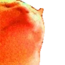 catJAMJAM emote