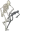 SkeletonPls