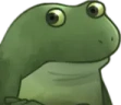 FrogeConcern emote