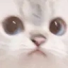 WeirderCat emote