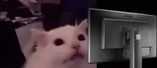 FLASHBANG emote