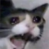 YAMERO emote