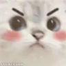 MADcat emote