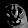 FloppaDespair emote