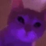 JAMMIN emote