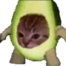 Avacatospin emote