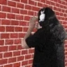DonoWall emote