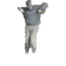 CWalk emote