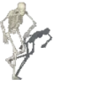 Capoeira emote
