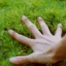 TouchSomeGrass emote