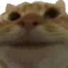 catNODDING emote