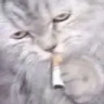 dersSmokeW emote