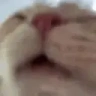 Drink emote